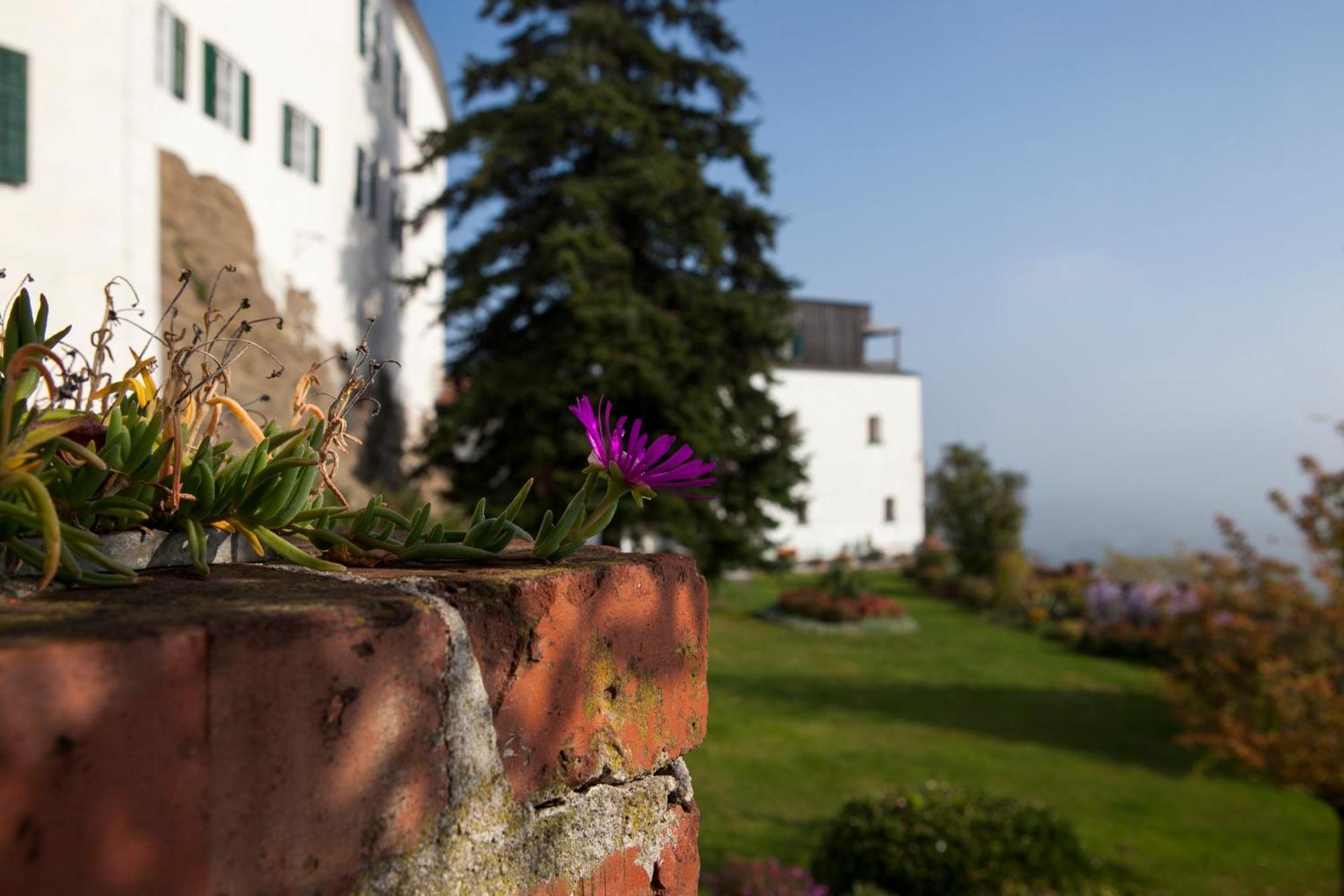 Schloss Kapfenstein Buitenkant foto